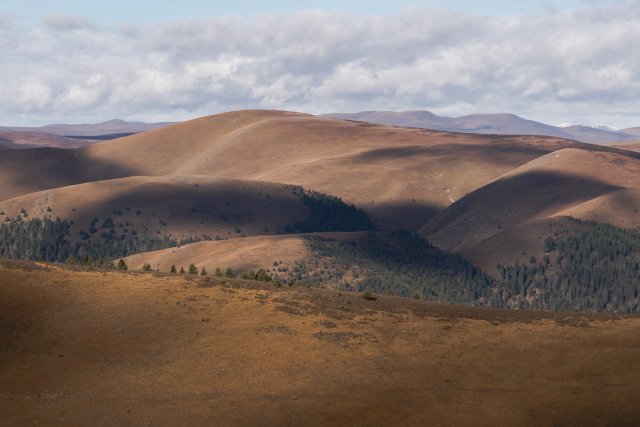 dcf-travel-img-13314