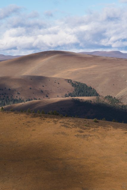 dcf-travel-img-13316