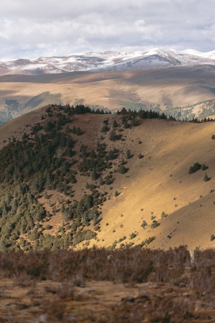 dcf-travel-img-13317