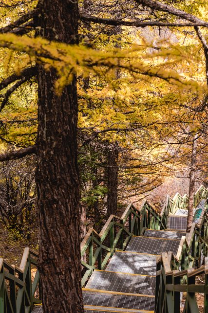 dcf-travel-img-13324