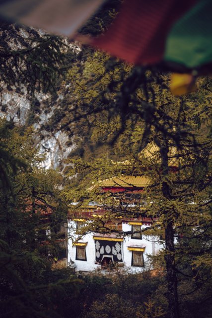 dcf-travel-img-13325