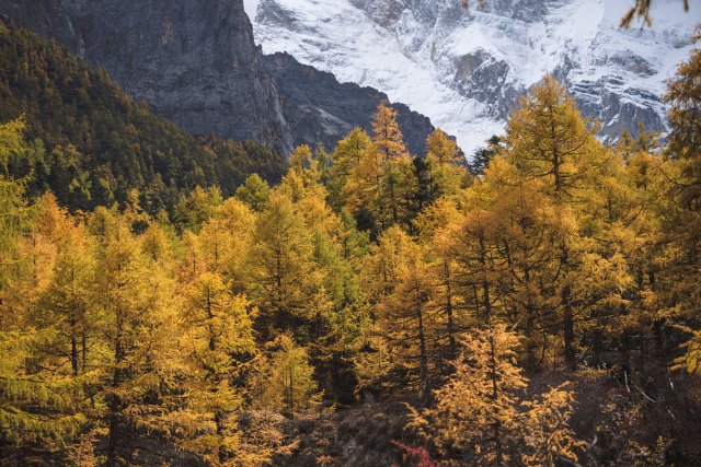 dcf-travel-img-13326