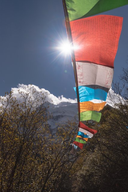 dcf-travel-img-13327