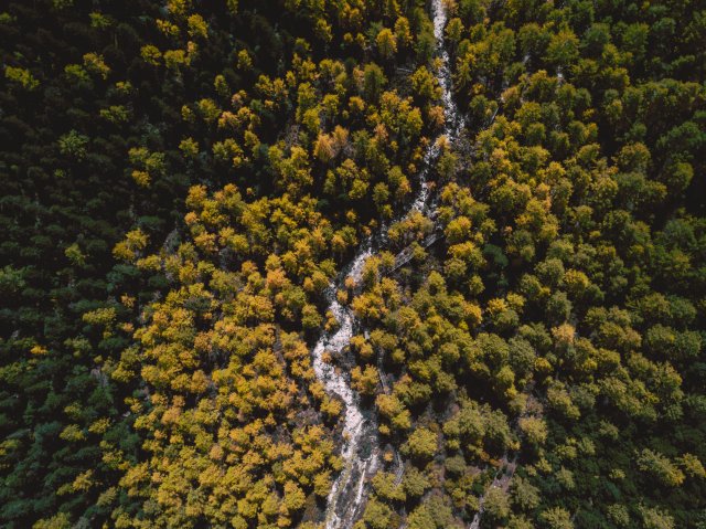 dcf-travel-img-13328