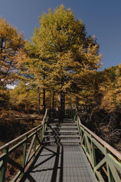 dcf-travel-img-13330