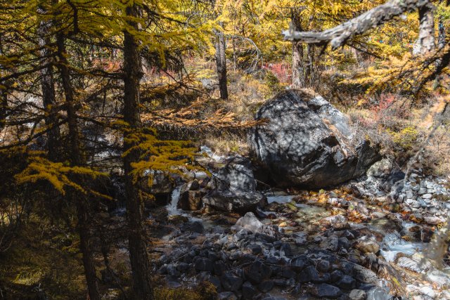 dcf-travel-img-13332