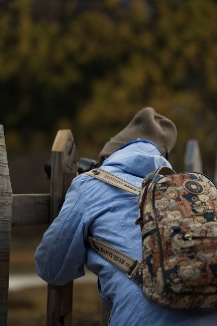 dcf-travel-img-13338