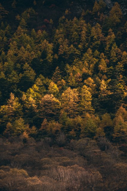 dcf-travel-img-13339