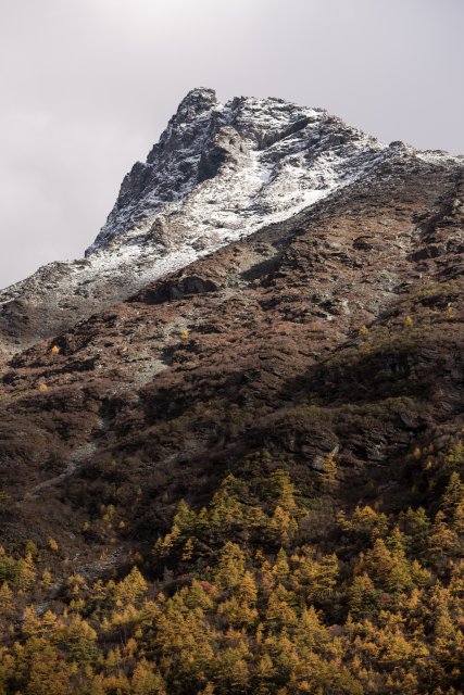 dcf-travel-img-13340