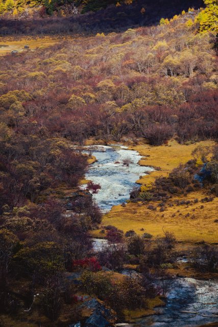 dcf-travel-img-13341