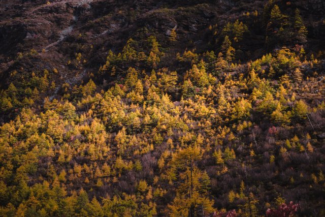 dcf-travel-img-13342