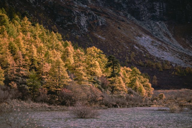 dcf-travel-img-13345