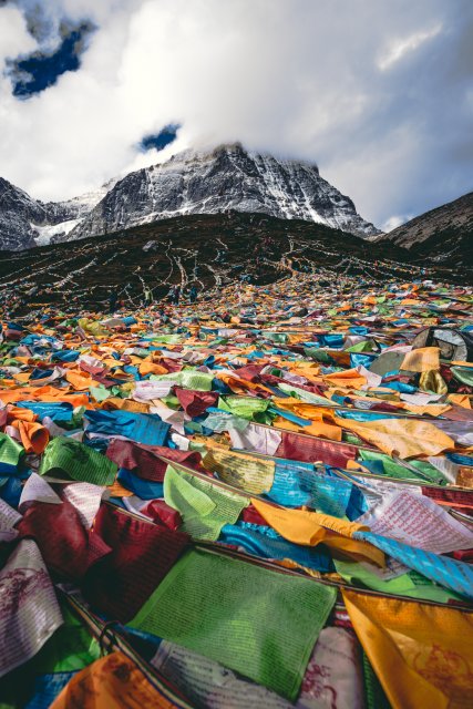 dcf-travel-img-13347