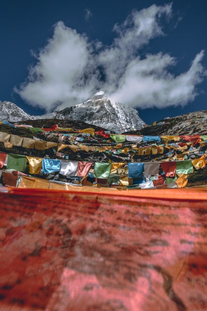 dcf-travel-img-13373