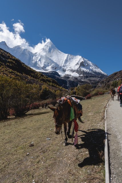 dcf-travel-img-13378