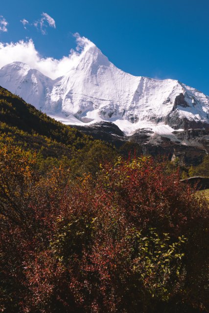 dcf-travel-img-13379