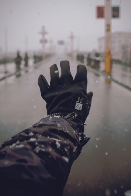 dcf-travel-img-13401