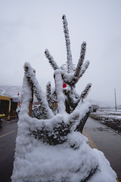 dcf-travel-img-13403