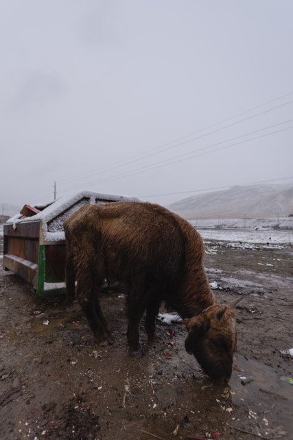 dcf-travel-img-13404