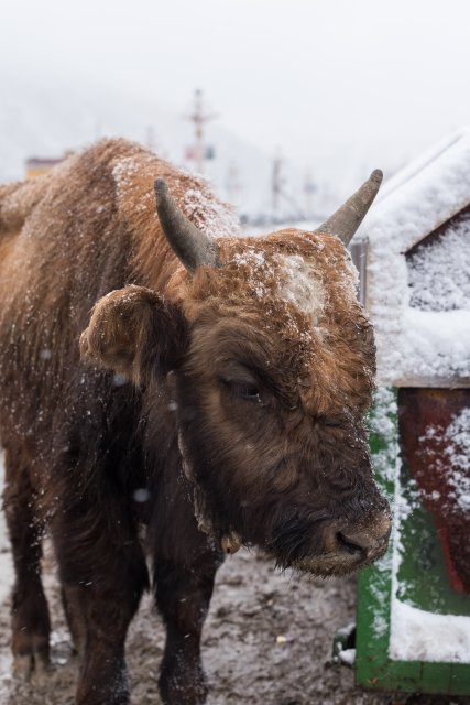 dcf-travel-img-13407