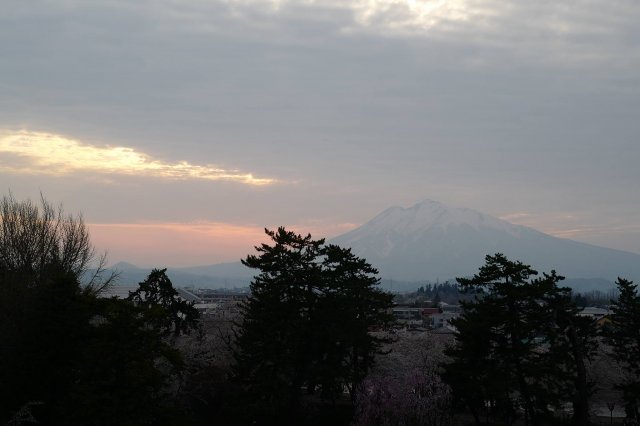 dcf-travel-img-15489