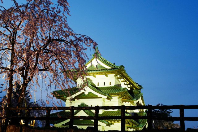 dcf-travel-img-15495